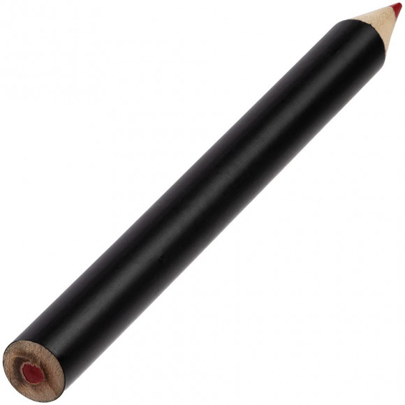 Набор цветных карандашей Pencilvania Tube Plus, черный Набор цветных карандашей Pencilvania Tube Plus, черный