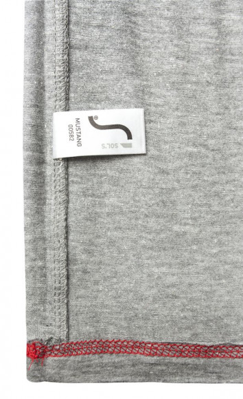 Футболка мужская Regent Fit 150, коричневая (терракотовая) Футболка мужская Regent Fit 150, коричневая (терракотовая)